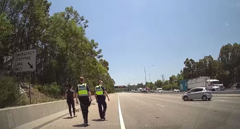 暖心！萌鸭一家横穿繁忙高速 警员护送